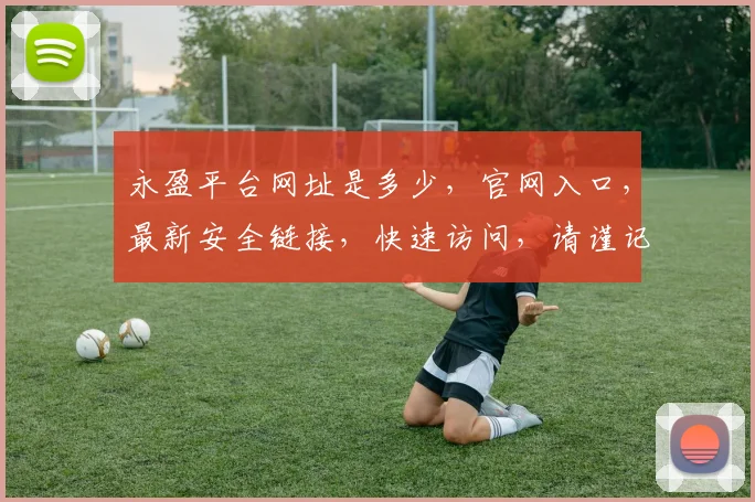 永盈平台网址是多少，官网入口，最新安全链接，快速访问，请谨记