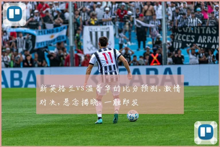 新英格兰vs温哥华的比分预测,激情对决,悬念揭晓,一触即发