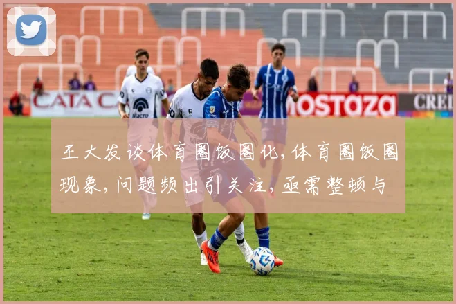 王大发谈体育圈饭圈化,体育圈饭圈现象,问题频出引关注,亟需整顿与反思