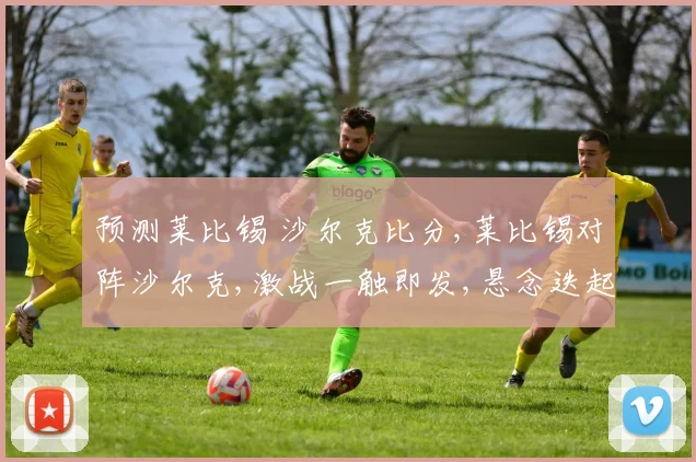 预测莱比锡 沙尔克比分,莱比锡对阵沙尔克,激战一触即发,悬念迭起